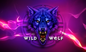 Wild Wolf